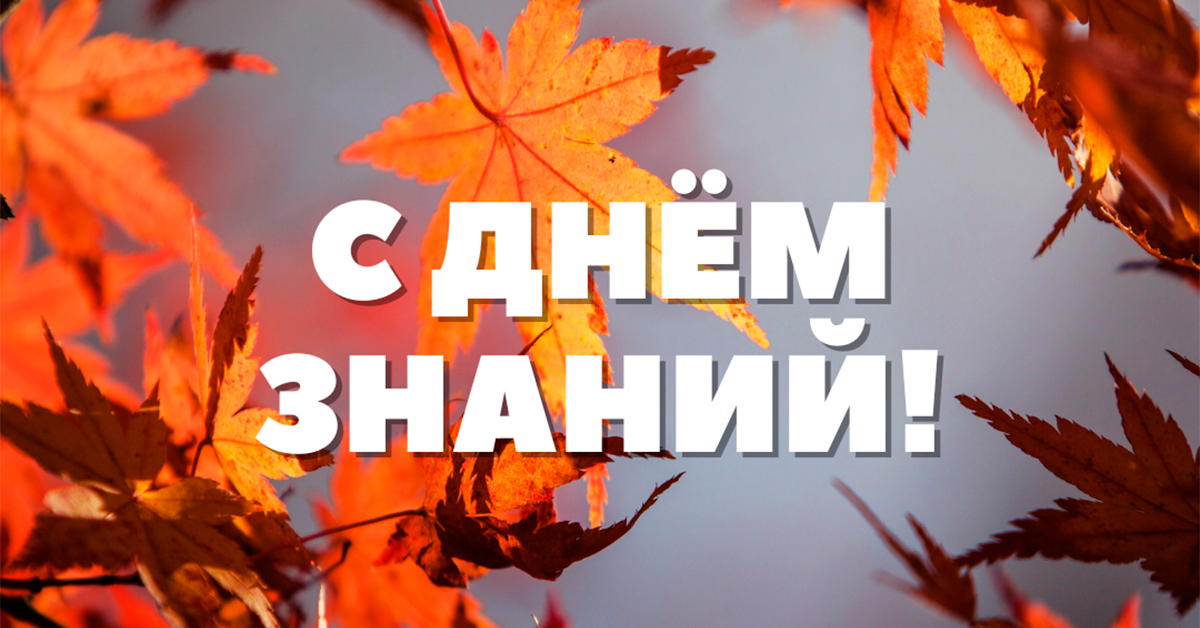Новый учебный год — новые возможности